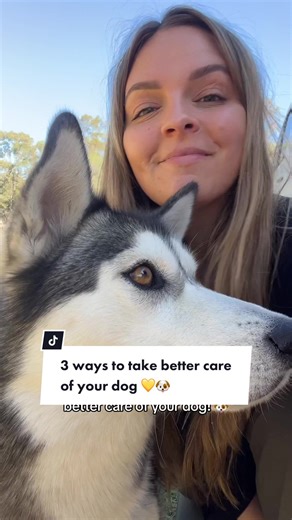 3 surprising ways to take better care of your dog 🐶 are you all over these? Drop your thoughts below! #dogowner #dogs #dogtips #dogeducation #doglover #husky #huskylove #mansbestfriend