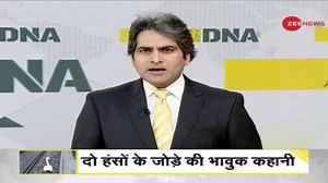 447K views · 10K reactions | #DNA: Swan mourning on tracks leads to delay in 23 trains | Zee News English | Facebook