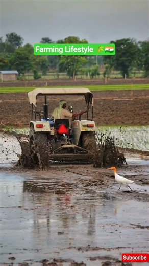 किसान 🌾🇮🇳 #punjabisongs #modernfarmer #farmingcareer #village #farming