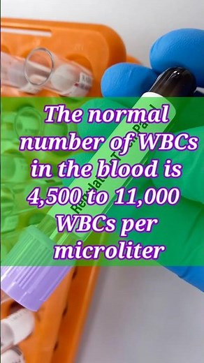wbc count normal range | White Blood Cells #white cells