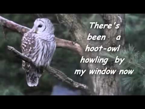 Wildfire Lyrics Michael Martin Murphy