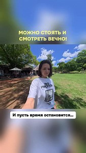 «Радость возникает в процессе, а не в результате» — Джеймс Дин. | Viktoria Raidos