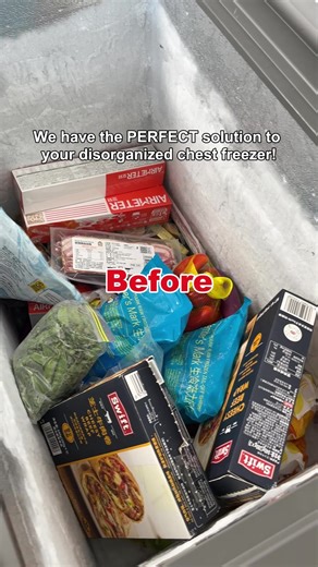 Efficient Freezer Organization Tips for the Holidays