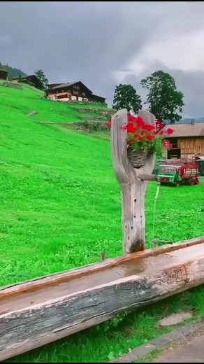 Breathtaking Mountainous Rural Scenes with Cows