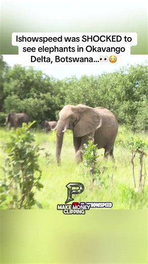 Ishowspeed was SHOCKED to see elephants in Okavango Delta, Botswana…👀😳#fyp #ishowspeed