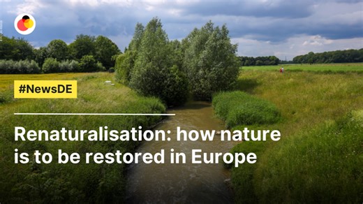 Renaturalisation: how nature is to be restored in Europe