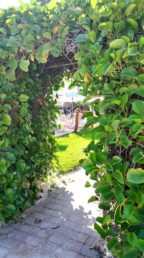 Welcome to your #ElBeso vacation, who's ready for an adult only experience at #OceanCoralAndTurquesa? 🇲🇽🍹🌴 #Mexico #RivieraMaya #WelcomeOcean #FeelTheOcean #OceanHotels #DreamVacation #AllInclusive | Ocean Coral & Turquesa