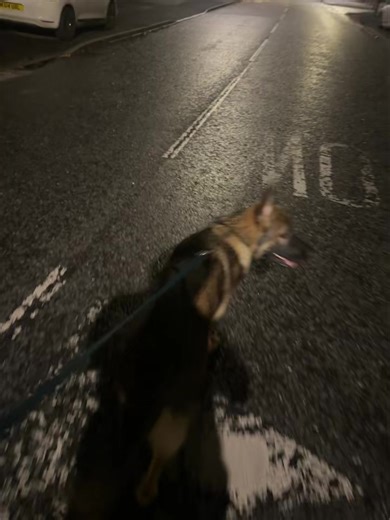 WE ARE ON PATROL 🔦🐕 | Crimewatchers Security