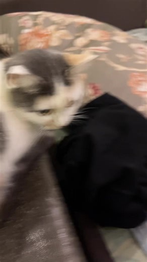 ⚽️CR7⚽️ (@redseven377)’s videos with original sound - FinnYesXD