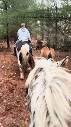 Sunday horseback ride with oaky and spud
