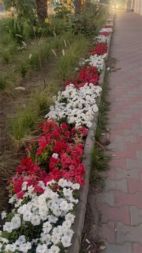 suno Jannat mein Dono Saath Honge yaki Humko Dilaya Hai Kisi Ne. #shortsfeed