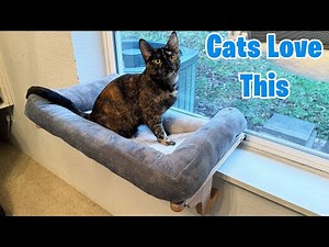 Our Cats Love This Window Cat Perch