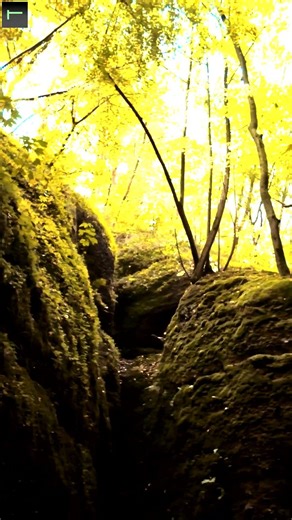 Hiking Inside the Dragon Gorge - Thuringia's Most Stunning Natural Attraction
