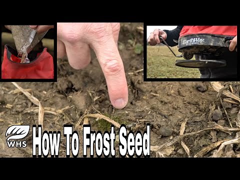 How To Frost Seed Food Plots And Switchgrass