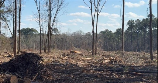 Residents worry as single developer eyes Northwest Louisiana properties for possible data centers
