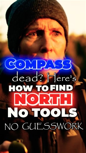 Find North Fast — 3 No Tool Tricks You Need #survivalhacks #survival #bushcraftskills