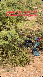 29K views · 2.9K reactions | #romanticvideo #insta #boy #couple #hairstyles #boyfriend #couplegoals #funnyvideos #delhi #girlfriend #romantic #lover #haryana #sadvideos #haryanvi #vale #jind #karnal #rohtak #loverboy #bhiwani #inspiration #travelling #viralvideos | top blog 2.0 | Facebook