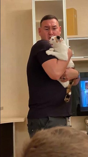 Protective cat defends owner