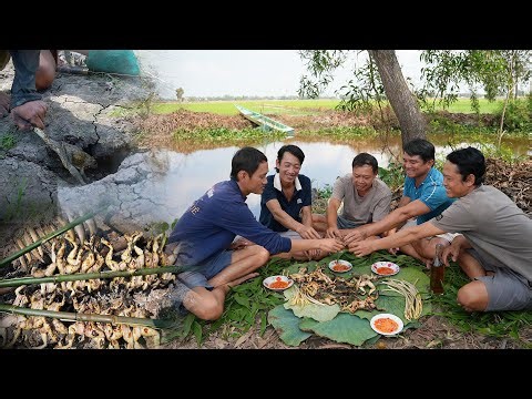 "M.Ó.C ẾCH" Bội Thu Trên Cánh Đồng Mộc Hoá Long An | Gấc Quê