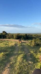 123K views · 1.5K reactions | A bonding moment between our two...