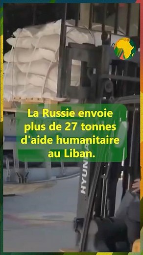 Russia sends more than 27 tons of humanitarian aid to Lebanon