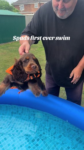 Spud's First Ever Swim Experience 🌊