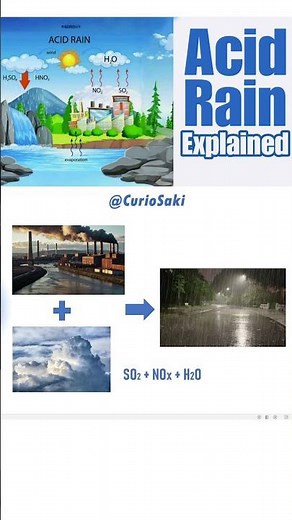 How Acid Rain Occurs: From Pollution to Rainfall