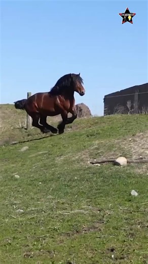 Top 6 Incredible Animal Facts You Didn't Know