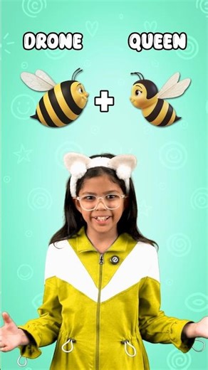 Guess the Animal Pairs! 🐾 Male & Female Names for kids | Adi Connection AC #shorts