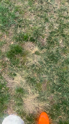 Sime Ben con la Belicada 亮 | Alexander Aguilar | Facebook