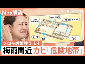 家の中に潜む「カビ」の危険地帯はカーテン！？本格的な梅雨を前に…プロが教えるカビ対策【Nスタ解説】｜TBS NEWS DIG