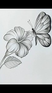 Easy pencil sketch #drawing #pencilsketch | Drawing Book