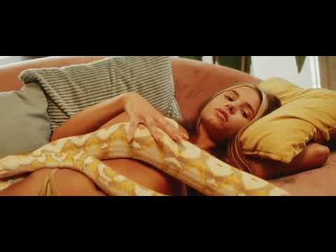 VSCode vs PyCharm: Python's ULTIMATE IDE Showdown!