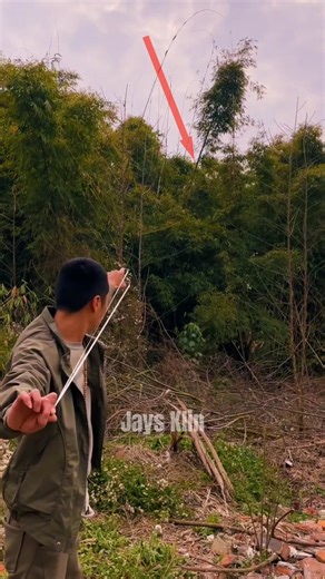 This Person's Catapult Accuracy Is Unbelievable