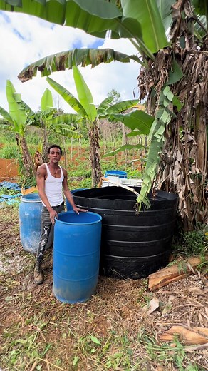 How to Grow Tilapia at Home: A Beginner's Guide