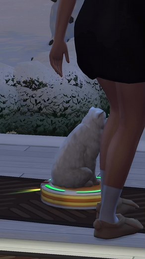 Fast Kitty in Sims 4: How to Create a Cat