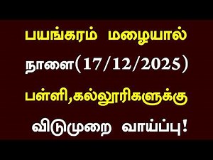 ⛈️தமிழகத்தில் கனமழை காரணமாக நாளை (17.12.2025) பள்ளி,கல்லூரிகளுக்கு விடுமுறை அறிவிப்பு| #Rain Leave