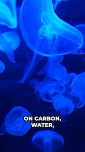 7.8K views · 95 reactions | Life could be radically different from us. #cosmoknowledge #space #astronomy #science #life #galaxy #knowledge | Cosmoknowledge | Facebook