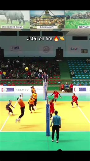 NPC vs Apf Volleyball Match Highlights
