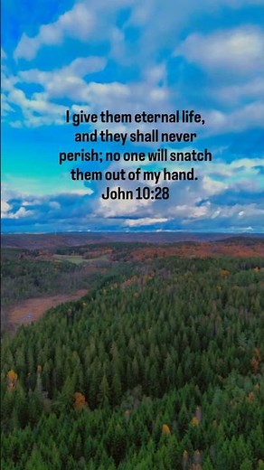 Eternal life. John 10:28