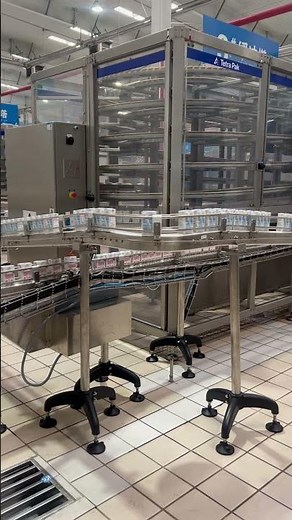 Tetra Pak Milk Carton Conveying Line By FlexMod Conveyor System