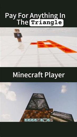 Pay For Anything In Triangle But In Minecraft #memeedit