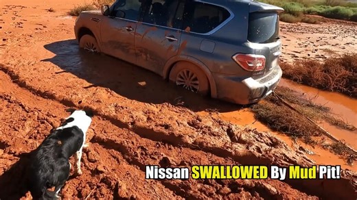 61K views · 1.6K reactions | Instant Regret! Nissan Takes on MUD PIT! | Matt's Offroad Recovery | Facebook