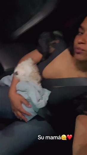 Videos de Perla Nurse🕯️🩺💊 (@perla_24_0) con “sonido original - 𝑫𝜺𝜾𝒊𝝇𝒊𝝁𝒔𝒔 🍒👸🏻🐉”