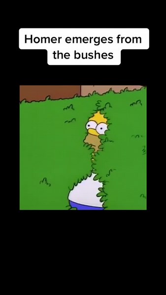 OFOAnimationrevival on TikTok