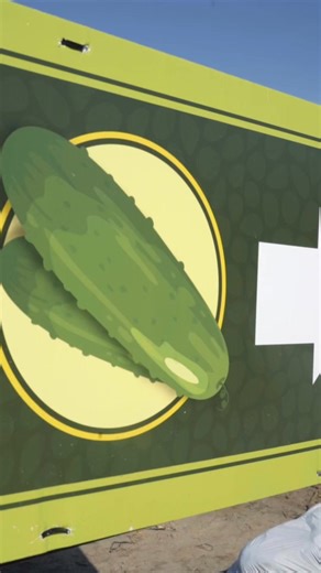 Pick your own fresh cucumbers at Bedner’s U-Pick! There’s nothing like the satisfaction of harvesting your own crisp, delicious veggies straight from the vine. Bring your family and friends for a fun, hands-on experience!🥒🧺☀️ ⁠ ⁠ #bednersfarm #bednersfarmfreshmarket #localveggies #farmfreshproduce #pickyourownproducefl #freshfromthefarm #Upickfun | Bedner's Farm Fresh Market