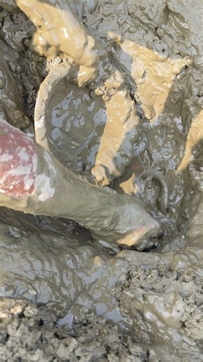 Primitive Hand Fishing for Shing Fish | No Net No Hook #villagelife #shorts