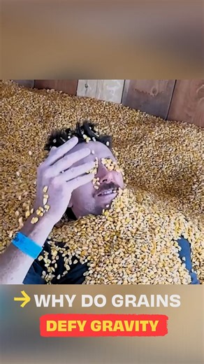 The physics of granular jamming and friction 🔪 #science #study #logic #test #fblifestyle #reels | The Action Lab