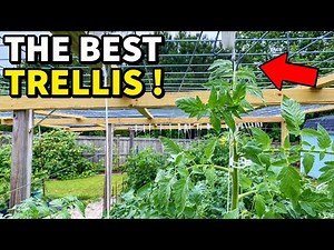 I Invented The BEST Vegetable Garden Trellis Ever!