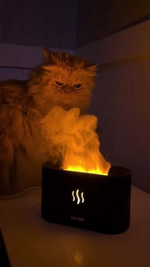 Flame Air Humidifier. A stylish and functional addition to your living space. • This innovative humidifier combines modern design with advanced technology to enhance your indoor environment. • The flame-shaped mist outlet creates a soothing ambiance while releasing a fine, cool mist that moisturizes the air, combating dryness and promoting a comfortable atmosphere. • With adjustable settings, you can tailor the humidity level to your preference. •The whisper-quiet operation ensures a peaceful en